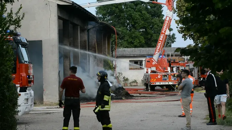 Incendio in cascina, morte 50 mucche