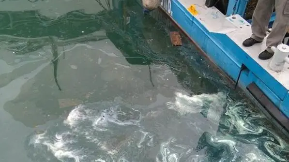 Lo sversamento di petrolio al porto di Desenzano