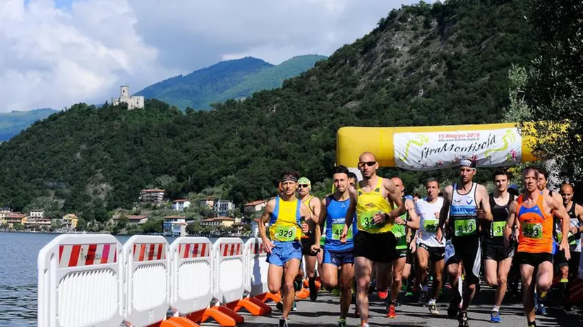 Stramontisola, edizione da record