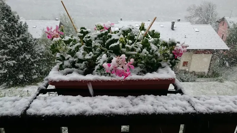 La neve a Ponte di Legno