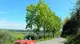 Mille Miglia nel verde di Poggibonsi