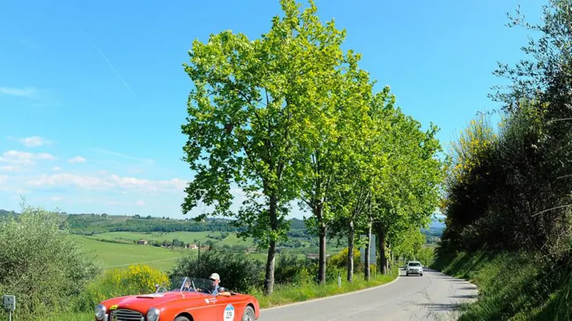 Mille Miglia nel verde di Poggibonsi
