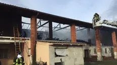 Incendio a San Paolo, Vigili del Fuoco in azione