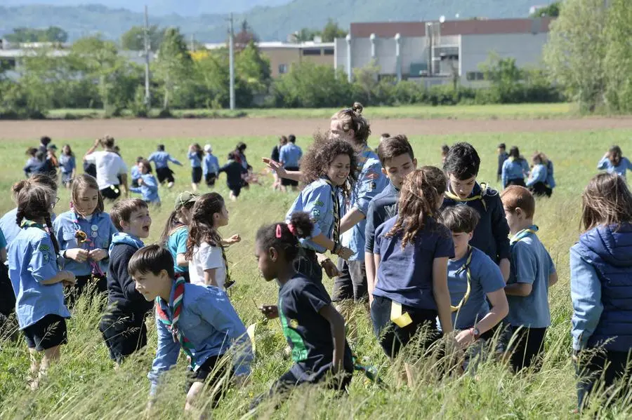Lupetti a Sant'Anna