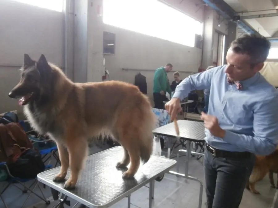 I cani al Centro fiera di Montichiari