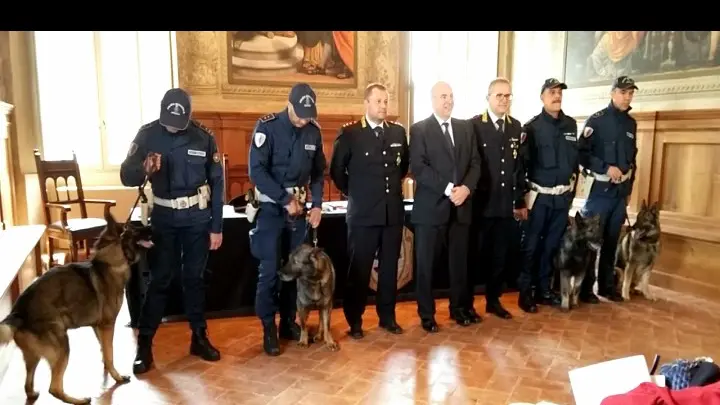 I cani poliziotto della Locale