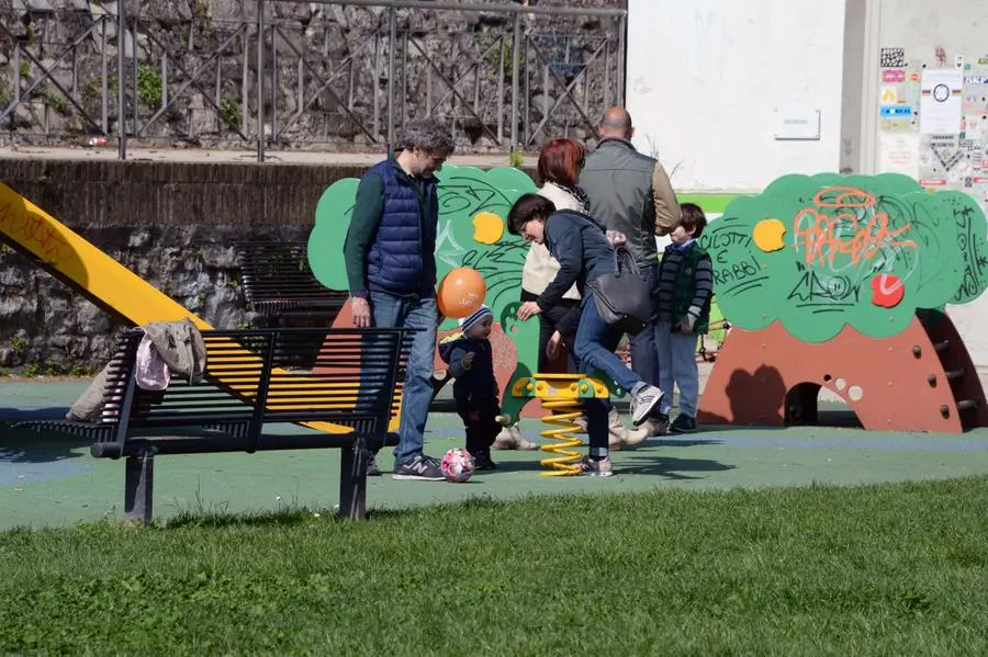 La Giornata provinciale dell'affido ad Ambiente parco