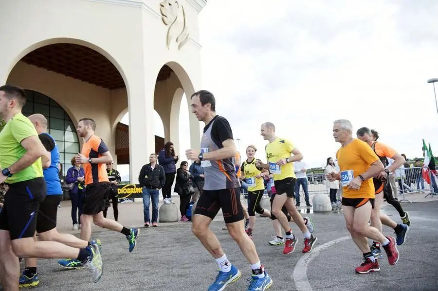 La Corsa dei Leoni