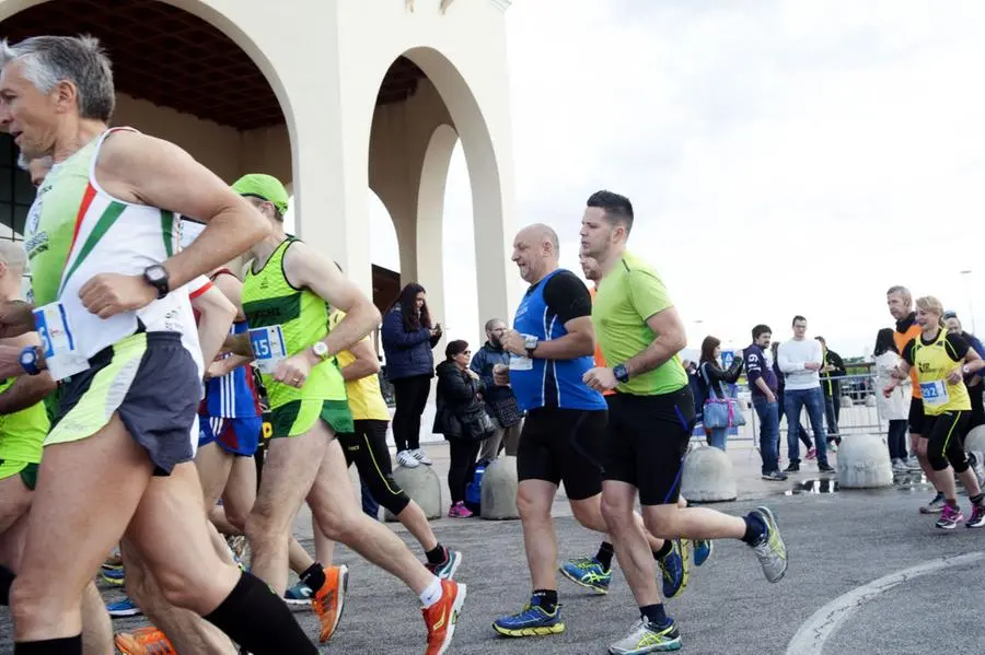 La Corsa dei Leoni