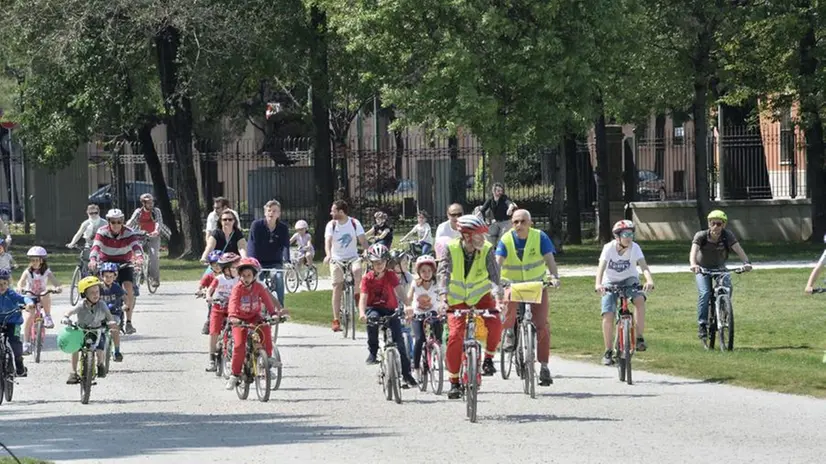Bimbinbici