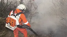 Volontari al lavoro per contrastare le fiamme