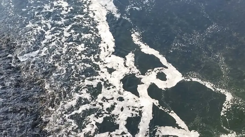Schiuma bianca nell'Oglio