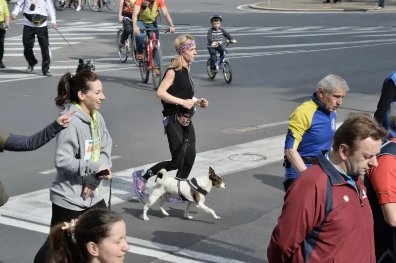 Vivicittà, 3.500 i runner al via