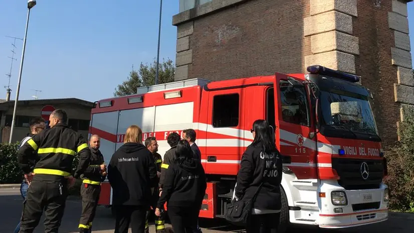 Le reti sotto il viadotto di Desenzano