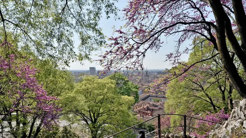 Primavera in città