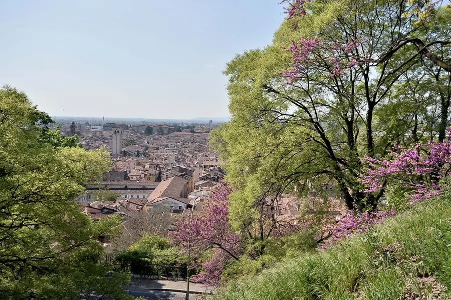 Primavera in città