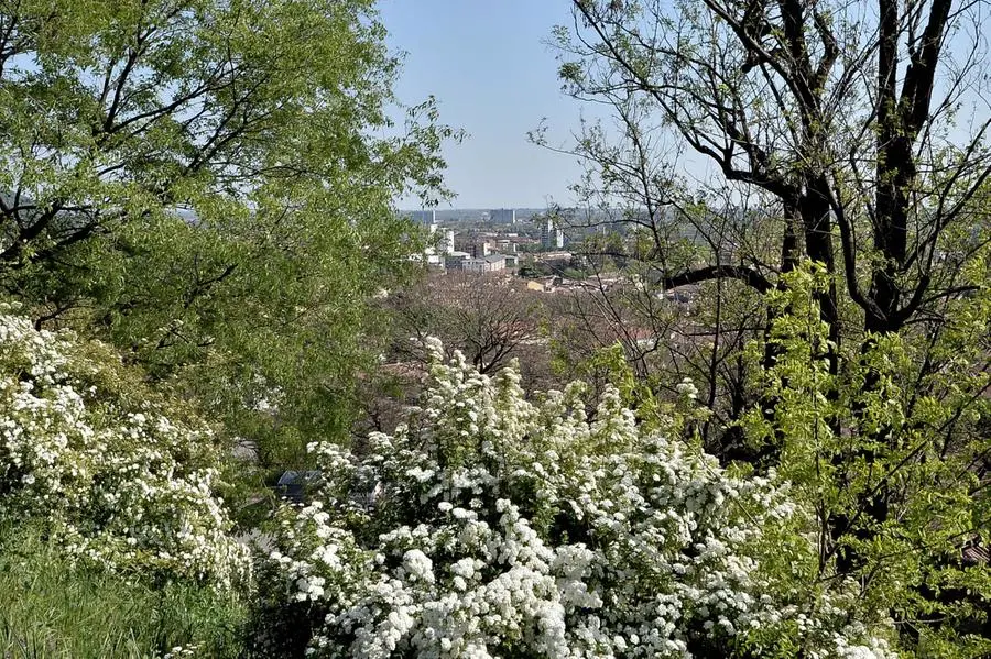 Primavera in città