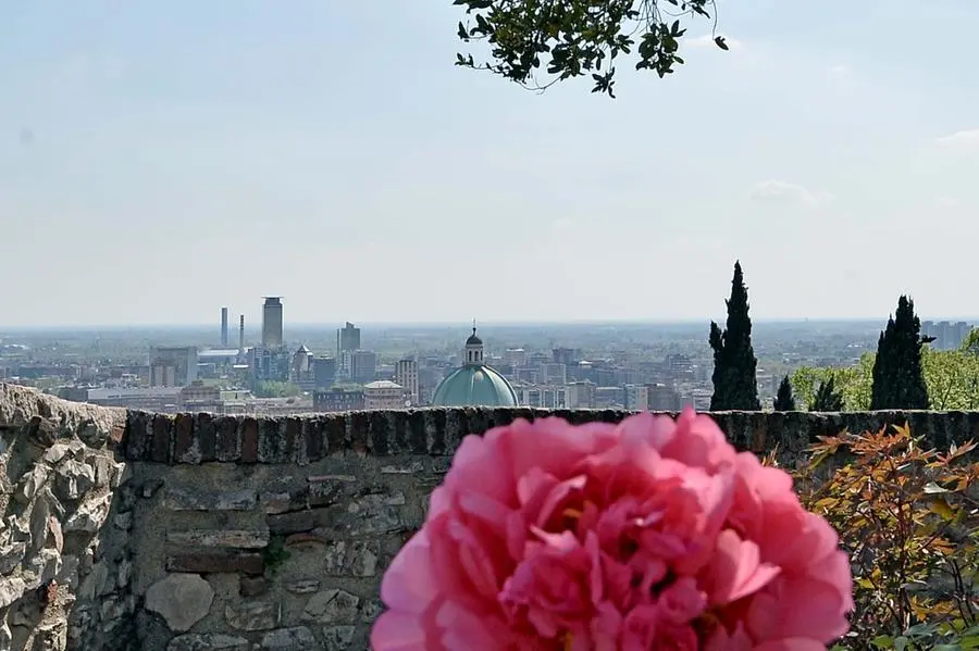 Primavera in città