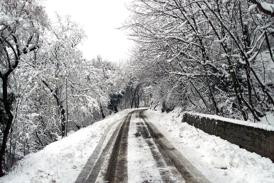 Le immagini dell'aprile 2003: neve in città e in Maddalena