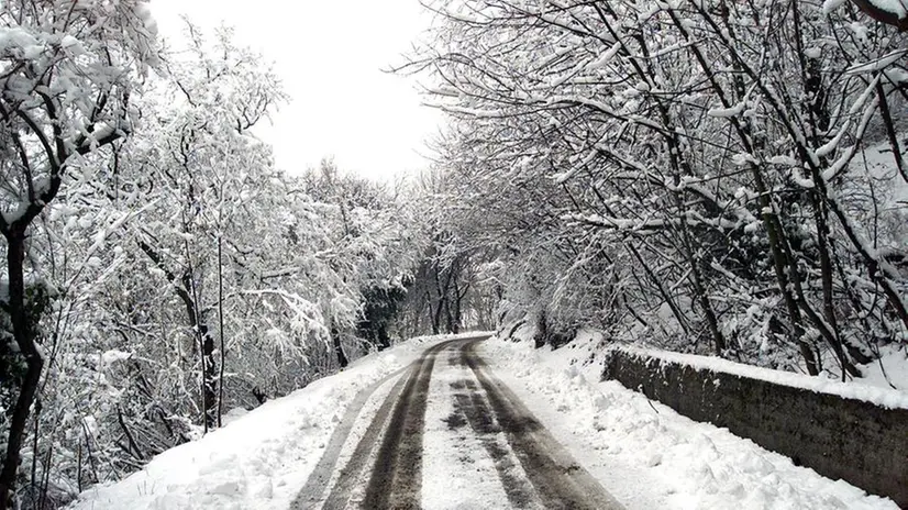 Le immagini dell'aprile 2003: neve in città e in Maddalena