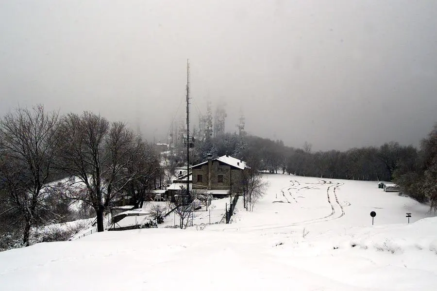 Le immagini dell'aprile 2003: neve in città e in Maddalena
