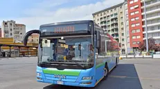 Autobus della Saia