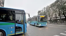 Autobus Sia (simbolica)