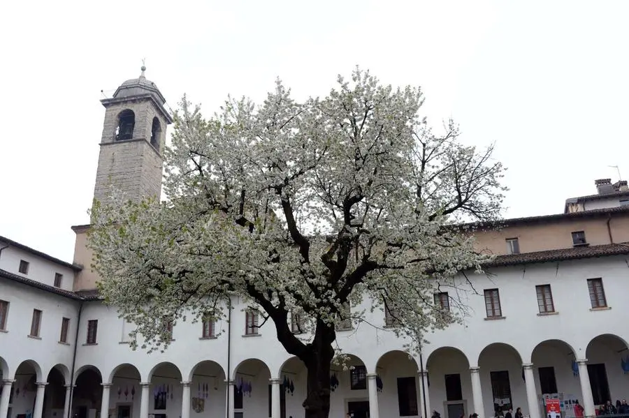 Giappone nel chiostro: decima edizione