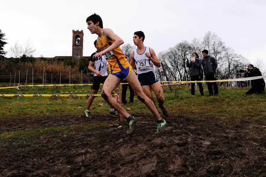 Il Cross del Parco delle Colline