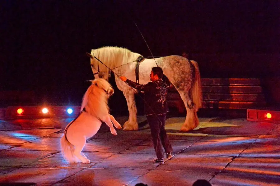 L'ultimo spettacolo del circo di Moira Orfei a Brescia