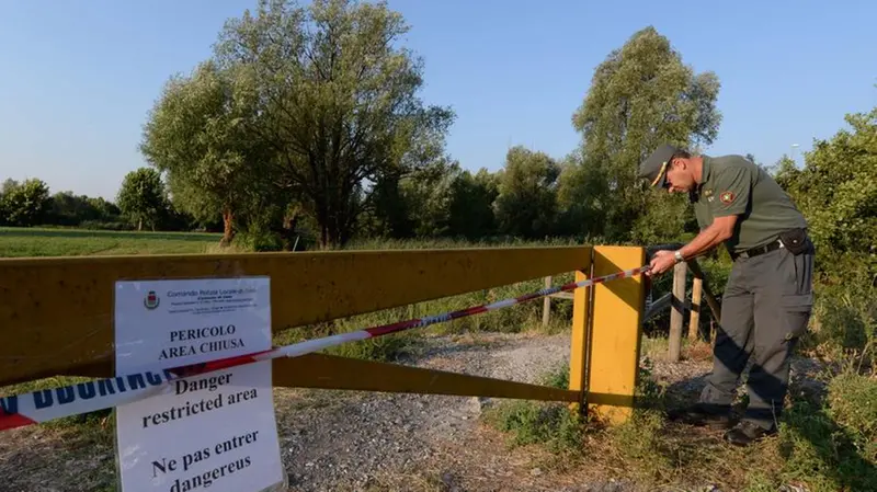 La Provinciale cerca la pantera