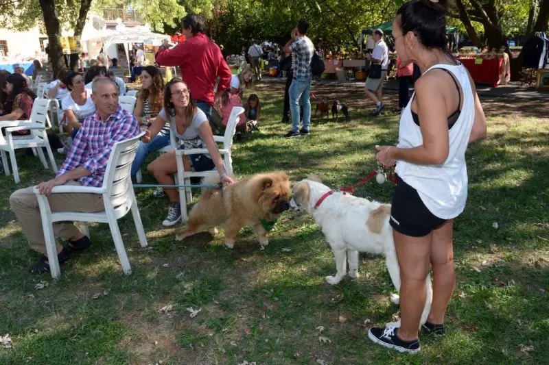 Festa del Bastardino, protagonisti a quattro zampe