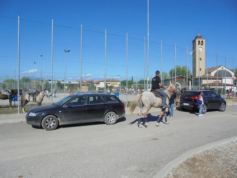 Bimbo di 1 anno cade da cavallo