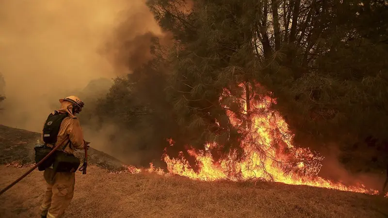 Incendi in California