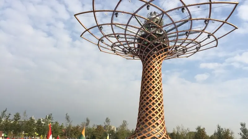 Il giorno dedicato all'Albero della Vita