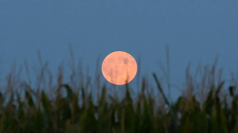 Blue moon, la luna piena concede il bis
