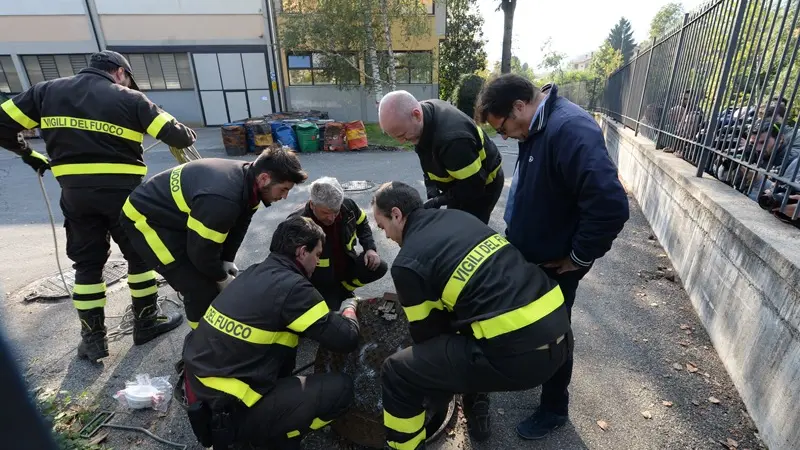 Ris e cane cerca-cadaveri di nuovo alla Bozzoli