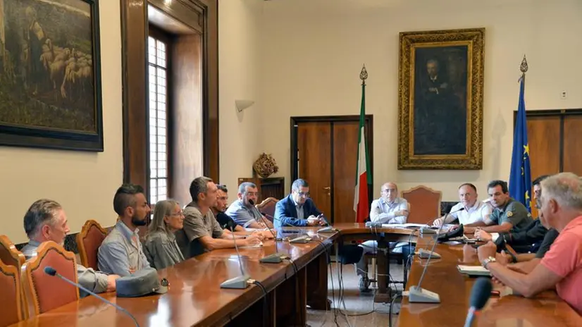 Pantera alle Torbiere: vertice in Prefettura