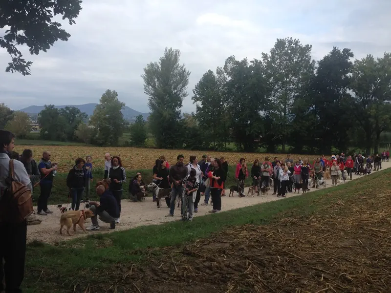 Cagnolata a Manerba