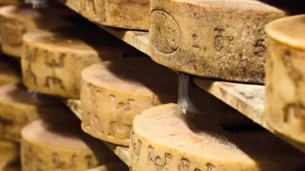 Il formaggio Silter