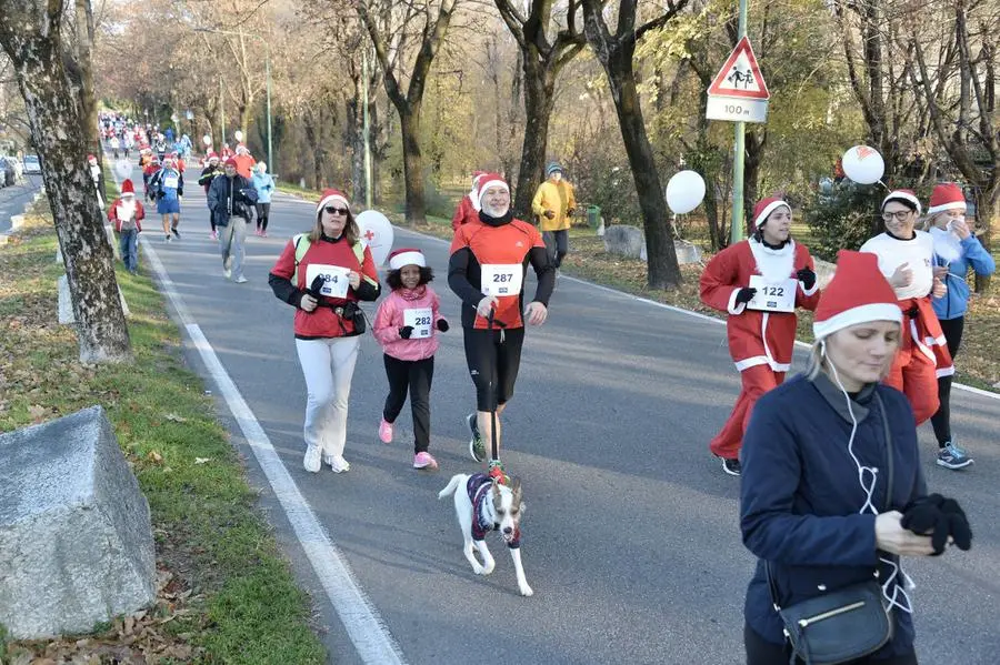 La corsa dei Babbi