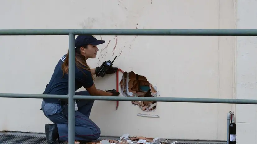 Tentato furto alla pizzeria da asporto di Adnan