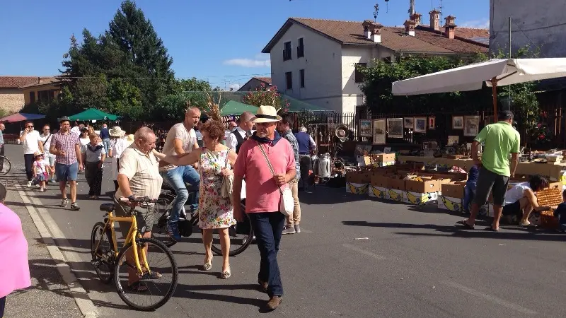 Sagra del contadino