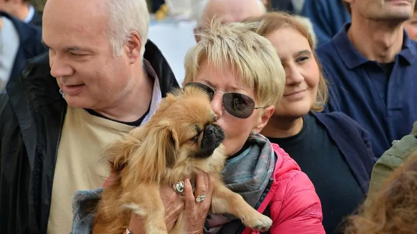 Benedizione degli animali