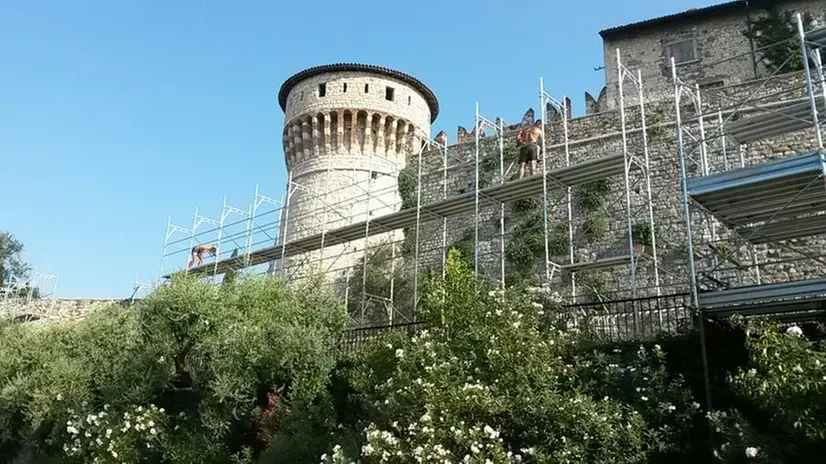 L'allestimento delle strutture del festival MusicalZOO