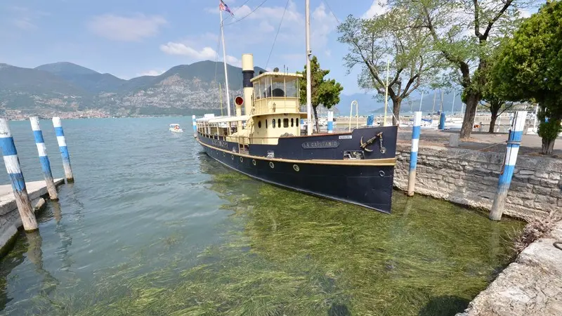 Le alghe nel lago d'Iseo