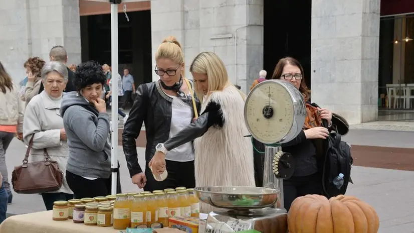 Il mercato bio in piazza Vittoria