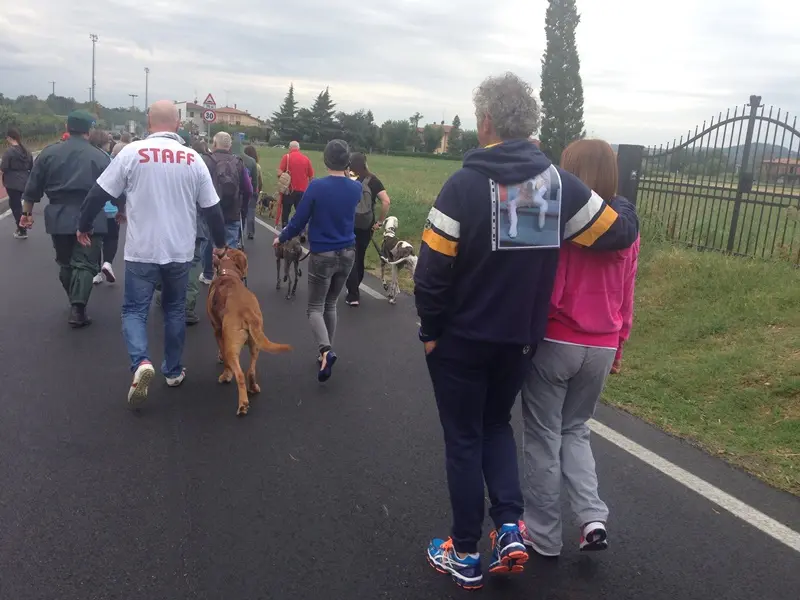 Cagnolata a Manerba