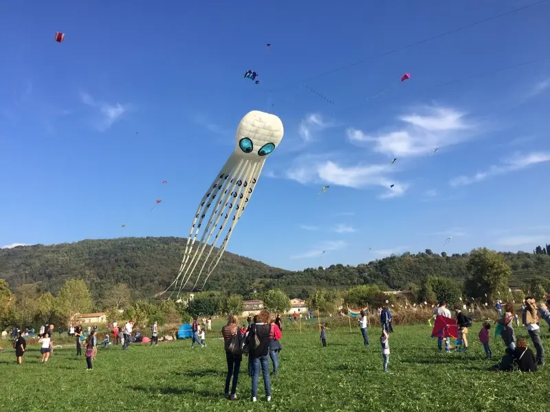 Festa degli Aquiloni a Rezzato