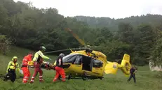 Paura per un 74enne caduto da una pianta